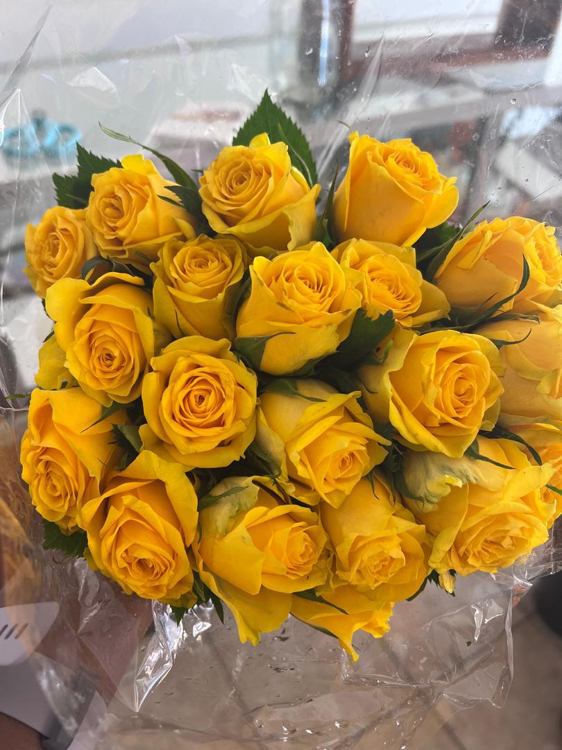 Roses Category